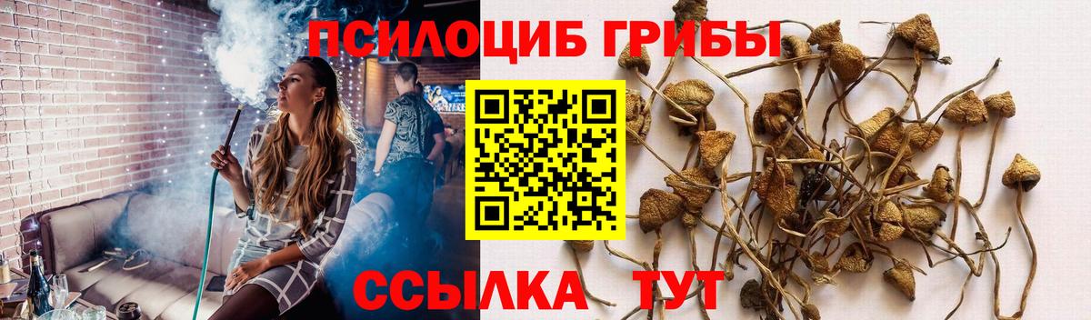 Псилоцибиновые грибы Magic Shrooms Ялта