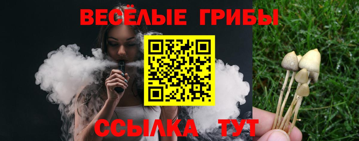 закладки  Псилоцибиновые грибы Psilocybe  Вход с VPN  Ялта 